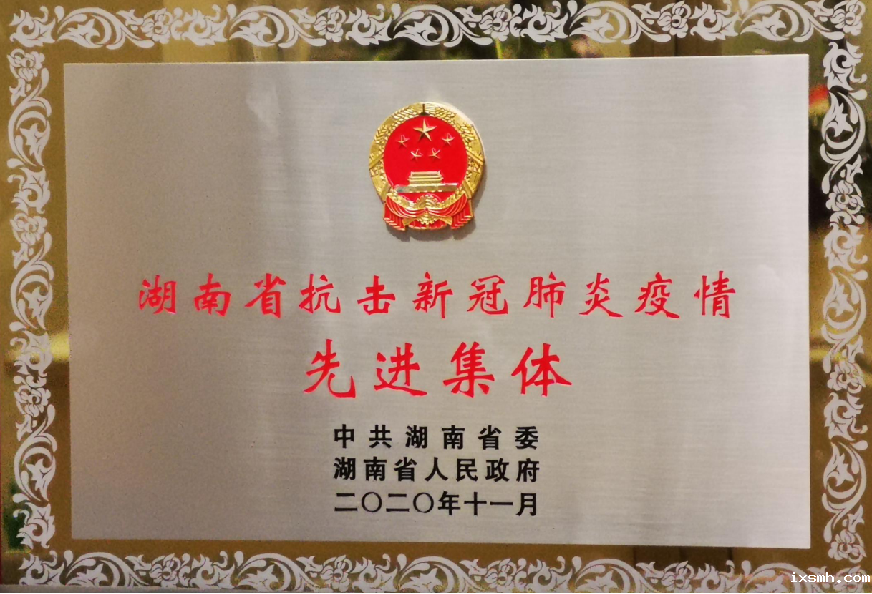 2020.11湖南省抗击新冠肺炎疫情先进集体