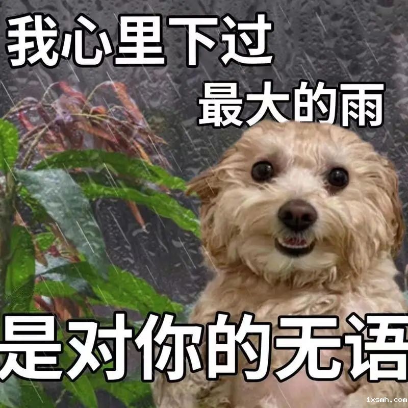 炎炎夏日，“水手们”来报到！