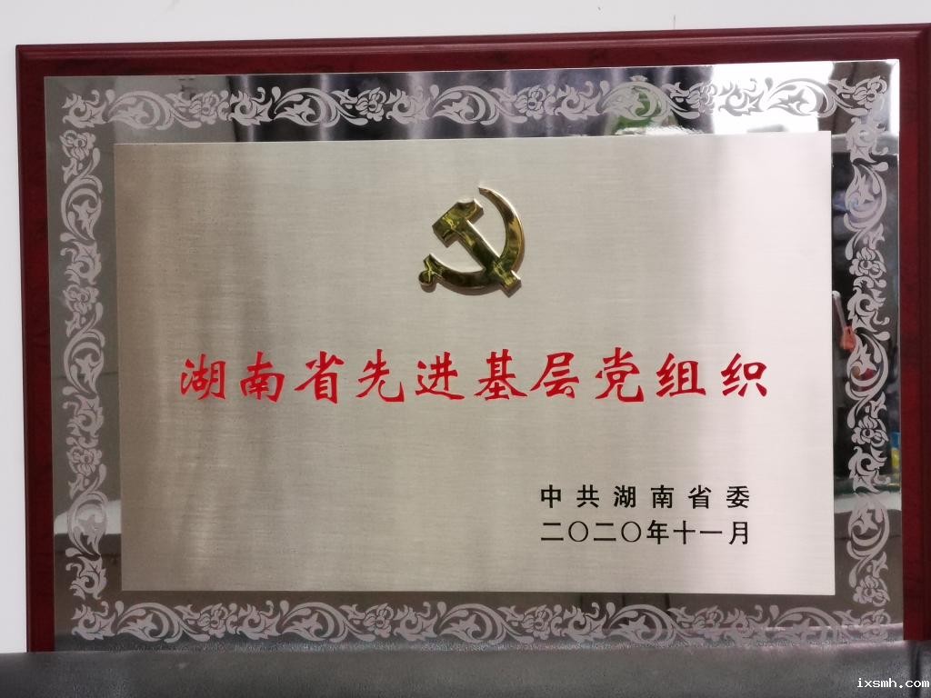 2020.11湖南省先进基层党组织