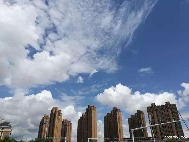 抗洪二线：蛇出没，该怎么办？