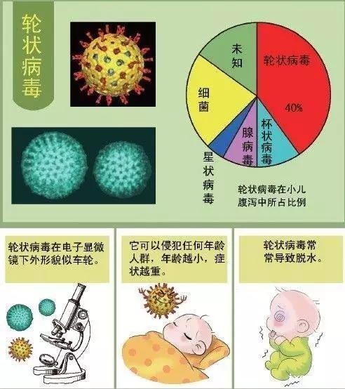 呕吐、腹泻，是诺如病毒还是轮状病毒感染？看raybet在线官网专家如何说