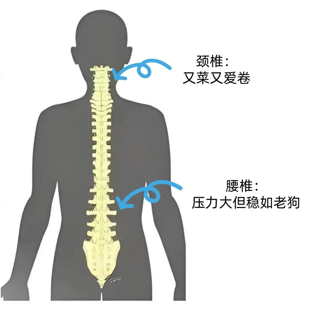 低头玩手机的你，颈椎弹簧正在提交《弹性失效报告》